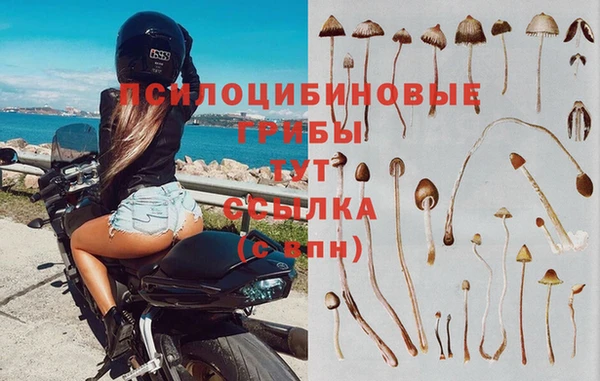 шишки Вязники